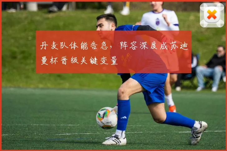 丹麦队体能告急，阵容深度成苏迪曼杯晋级关键变量