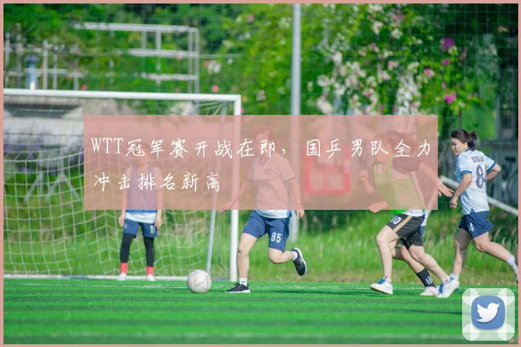 WTT冠军赛开战在即，国乒男队全力冲击排名新高