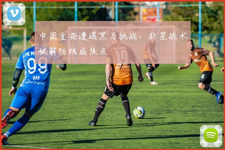 中国金花遭遇黑马挑战，新星战术破解防线成焦点