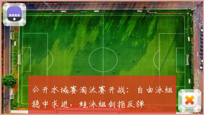 公开水域赛淘汰赛开战：自由泳组稳中求进，蛙泳组剑指反弹